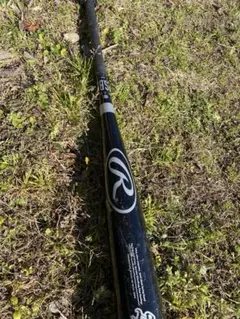 Item thumbnail for item 8a5cd246-8944-4a7c-94b0-793e374c5bcc