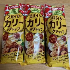 スパイシーカリーケチャップ　３本セットのサムネイル
