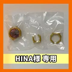 【HINA様専用】ルパンレンジャー センタイリング