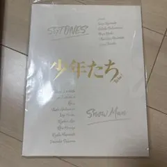 少年たち　パンフレット