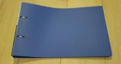 Item thumbnail for item beb22f20-fdc1-4aaf-9ceb-0cf1d7fc8c0b