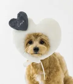 3COINSスリーコインズ　 ハート顔ハメ バレンタイン ペット