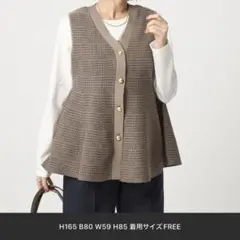 green label relaxing ペプラムジレ　ニット　プルオーバー　柄