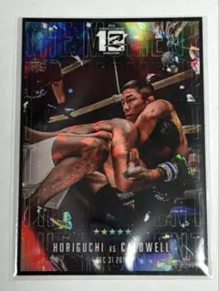 Item thumbnail for item 4a7c1c01-3eaf-44c2-a58b-4fe4056c2719