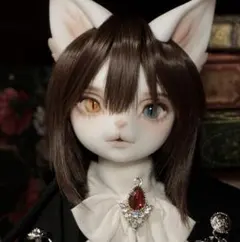 DOLK×DEAR MINE キャストドール　舞桜姫 DOLK×DEAR MINE | ANGELA cool ver. 舞桜姫 Limited 特設 - DOLK（ドルク）