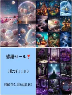 感謝セール！５６