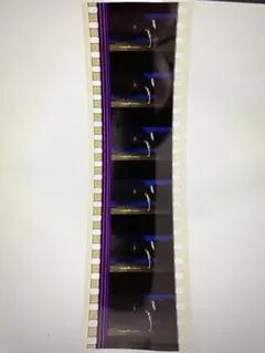 지브리 센과 치히로의 행방불명 映画フィルム ⑩ 道案内のカンテラ