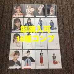 稲熊ひな 櫻坂46 ランダム生写真 16種コンプ 最新 - メルカリ