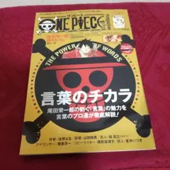 ONE PIECE magazine Vol.11