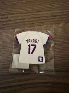 2026年最新】ドラゴンズキーホルダーの人気アイテム - メルカリ