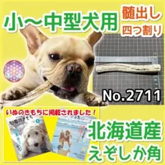 小～中型犬用 エゾ鹿の角 4半割り 1本 北海道産 犬のおもちゃ 27112のサムネイル