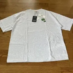 WEGO 別注BENDAVISワンポイントT