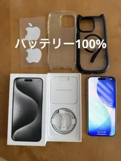 iPhone 15 Pro Max 1TB バッテリー交換済 国内版SIMフリー