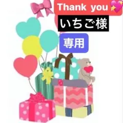 いちご様 リクエスト 3点 まとめ商品