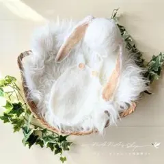 Item thumbnail for item 3a8c398b-0f3c-4a23-81a2-83395783ee7b