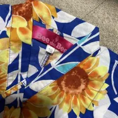 Item thumbnail for item b01ccda2-ba25-4215-9217-8e25f295a7e3