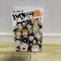 【全巻セット】ハイキュー!!+公式ファイナルガイドブック付 ハイキュー全巻セット+ファイナルガイドブック排球極 【公式通販】