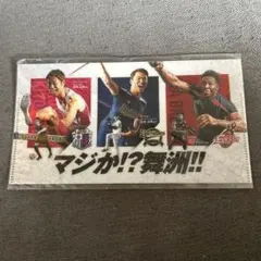 Item thumbnail for item 3b489a43-00da-42b7-abd9-67f44dc2bf1a