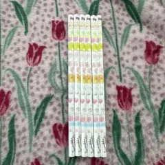 【未使用品】すみっコぐらし　2B鉛筆 6本セット キャラクター柄