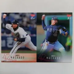 Item thumbnail for item cf8c2ab3-ceb2-4f3e-b582-1c887f5a36b2