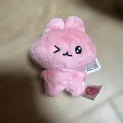 チェゴシム　マスコット