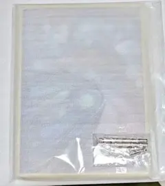 鬼滅の刃 webshopくじ 猗窩座 A賞 ビッグアクリルパネル