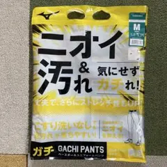 Item thumbnail for item 29151cb0-1fa1-40b4-8895-938abf3eb427