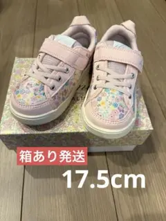 【箱あり発送】IFMEカラン スニーカー ピンク 17.5cm