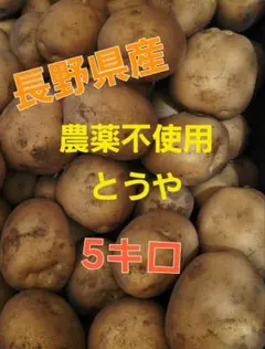 農薬不使用 長野県産じゃがいも⭐とうや⭐ 5kgのサムネイル