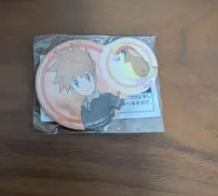 グリーン & ピジョット ポケモンマスターズ EX 缶バッジ