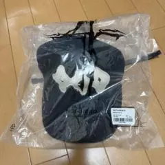 ALD1 popup キャップ ロゴキャップ - メルカリ