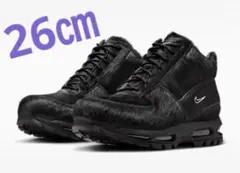 Nike acg Air Max Goadome ゴアドーム 26cm ブラックのサムネイル