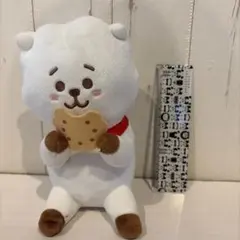 BT21 RJぬいぐるみ　アールジェイ