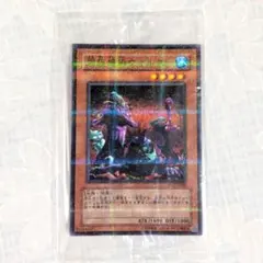 遊戯王 日本選手権2026 プロモ the lady's protectors - メルカリ