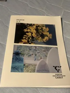 CARAT MAGAZINE vol.12 SEVENTEEN