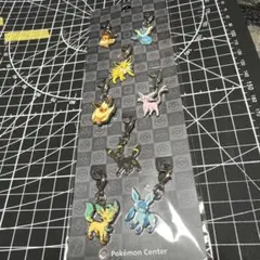 ポケモン 全国ずかん メタルチャーム イーブイ系