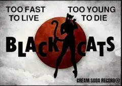 2026年最新】black cats ポスターの人気アイテム - メルカリ