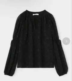 moussy シアーフラワーブラウスのサムネイル