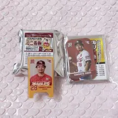 Item thumbnail for item 166c9564-6e90-48e8-a4c2-591930fb437c