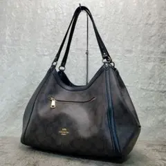 Item thumbnail for item fd03d43f-28ec-459a-9e3e-5a25316245a9