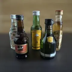 E-壁 ウィスキー サントリー ミニボトル 5本セット 希少 古酒 レア レトロ 587_1643554066-300x225.jpg