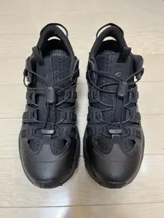 美品！2025年8月購入　2.3回使用　ベクティブタラバルブリーズ 61xhiW2s4aL._AC_SY395_.jpg