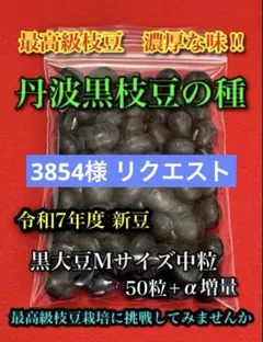 3854様 リクエスト 2点 まとめ商品