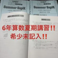 ㉒あ 美品 サピックス SAPIX 小学6年 算数 夏期講習 サマーサピックス