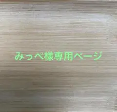 みっぺ様専用ページ