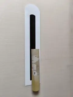 Item thumbnail for item 9c81a9ca-1c01-4169-a6c6-446cc8ef6388