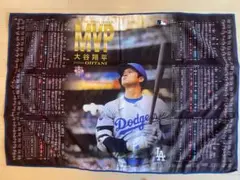 埼玉西武ライオンズ 松坂大輔 応援タオル HERO IS BACK - メルカリ