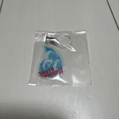 僕のヒーローアカデミア 轟焦凍 アンブレラチャームコレクション