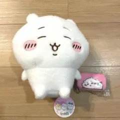 ちいかわ まとめ売り しーぷわ　ぬいぐるみ ジュエリーミニケース 2点セット