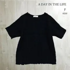 A DAY IN THE LIFE 伸縮シャーリング 半袖 カットソー F 黒のサムネイル